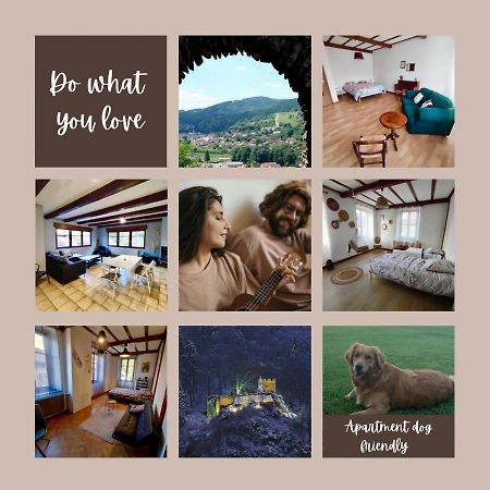 Gite Chez Lulu Proche Du Chateau De Schirmeck Daire Dış mekan fotoğraf